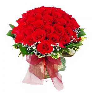 [ɴٹ() 5ȣ]  