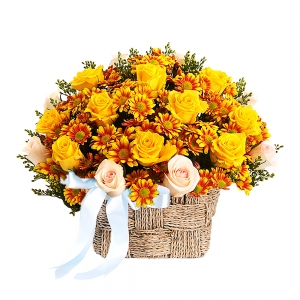 [ɹٱ(ູ) 23ȣ]  