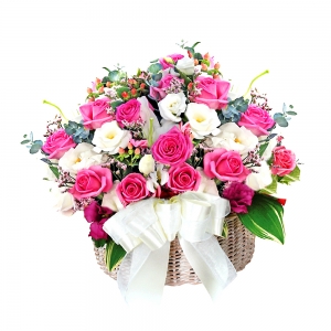 [ɹٱ(ѻ) 24ȣ]  